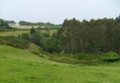 Non-developable land for sale in Coaña ref: TR68103 photo