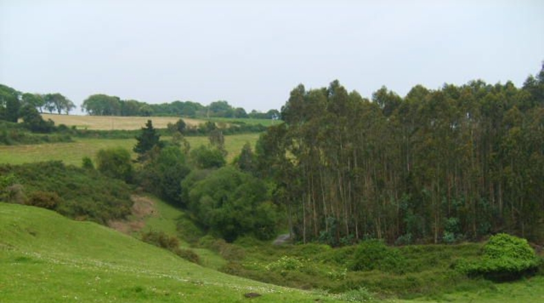 Asturias - Folgueiras - 16968m2