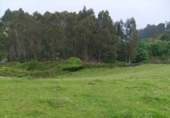 Non-developable land for sale in Coaña ref: TR68103 photo