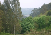 Non-developable land for sale in Coaña ref: TR68103 photo
