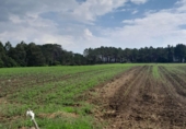 Non-developable land for sale in El Franco ref: TR68102 photo