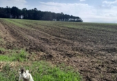 Non-developable land for sale in El Franco ref: TR68102 photo