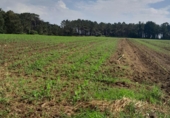 Non-developable land for sale in El Franco ref: TR68102 photo
