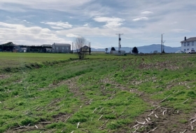 Navia 1265&nbsp;m² 