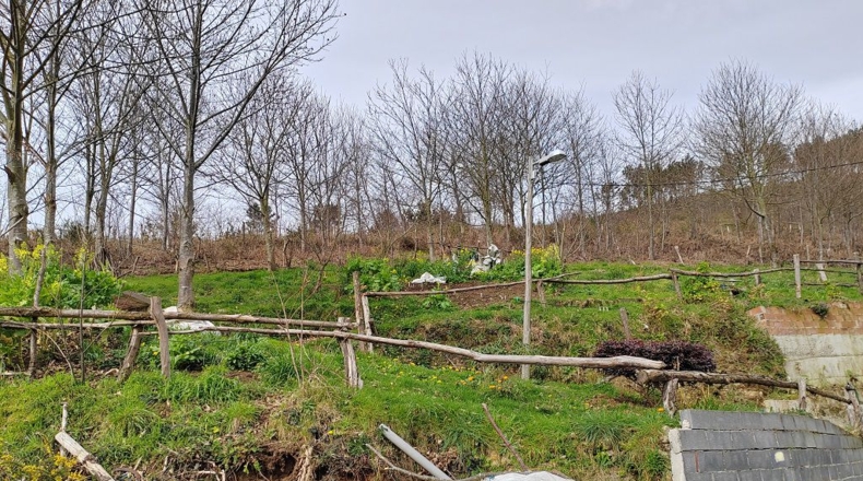 Asturias - Villayón - 60000m2