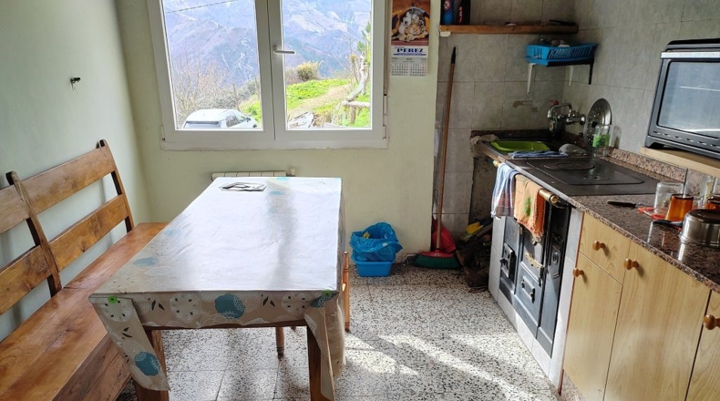 Asturias - Villayón - 60000m2