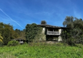 Finca rústica en venda a San Martín de Oscos ref.: TR105222 foto