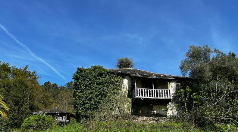 Asturias - Villayón - 30000m2