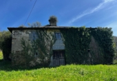 Finca rústica en venda a San Martín de Oscos ref.: TR105222 foto