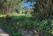 Finca rústica en venda a San Martín de Oscos ref.: TR105222 foto