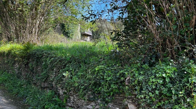 Asturias - Villayón - 30000m2