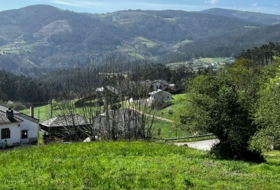 San Martín de Oscos 30000&nbsp;m² 