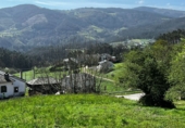 Finca rústica en venda a San Martín de Oscos ref.: TR105222 foto