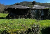Finca rústica en venda a San Martín de Oscos ref.: TR105222 foto
