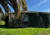 Finca rústica en venda a San Martín de Oscos ref.: TR105222 foto