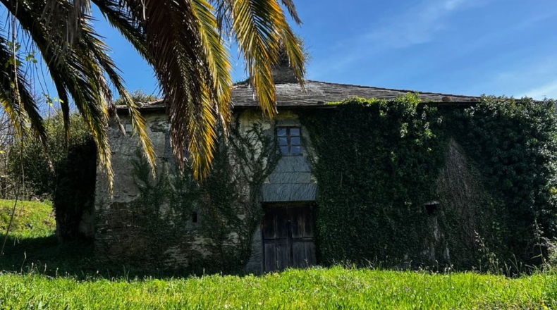 Asturias - Villayón - 30000m2