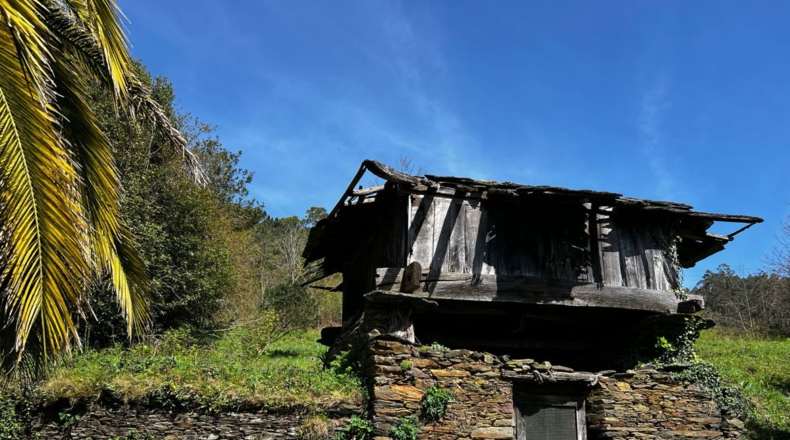 Asturias - Villayón - 30000m2