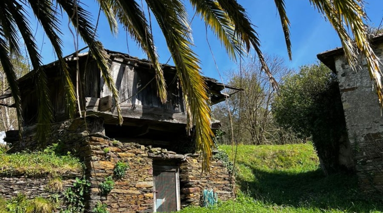Asturias - Villayón - 30000m2
