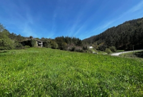 San Martín de Oscos 30000&nbsp;m² 