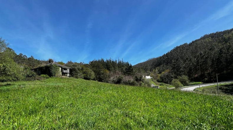Asturias - Villayón - 30000m2