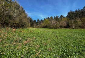 San Martín de Oscos 30000&nbsp;m² 