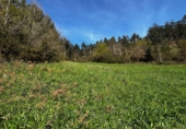 Finca rústica en venda a San Martín de Oscos ref.: TR105222 foto