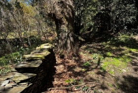 San Martín de Oscos 30000&nbsp;m² 