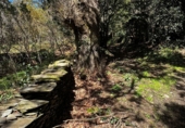 Finca rústica en venda a San Martín de Oscos ref.: TR105222 foto
