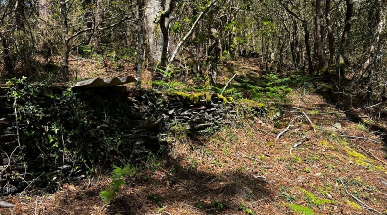 Asturias - Villayón - 30000m2