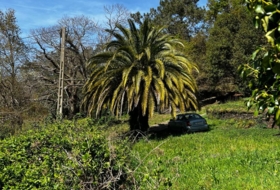 San Martín de Oscos 30000&nbsp;m² 
