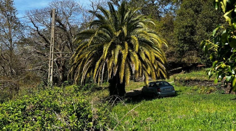 Asturias - Villayón - 30000m2