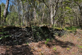 San Martín de Oscos 30000&nbsp;m² 
