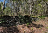 Finca rústica en venda a San Martín de Oscos ref.: TR105222 foto