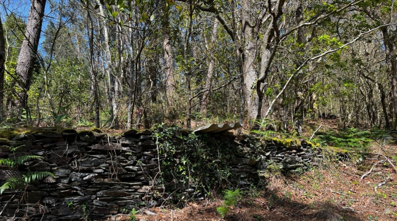 Asturias - Villayón - 30000m2