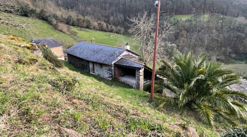 Asturias - Coaña - 48540m2