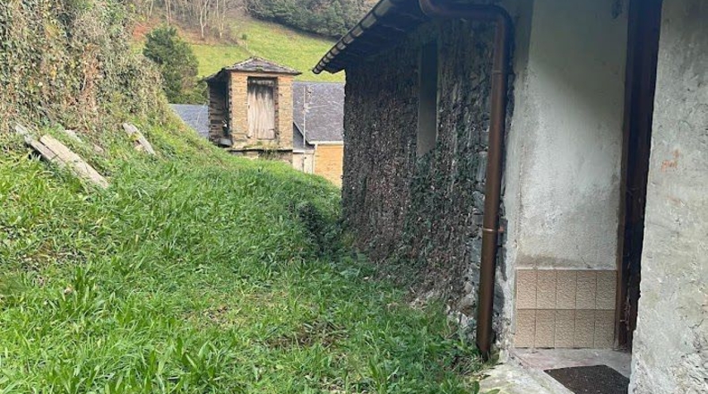 Asturias - Coaña - 48540m2