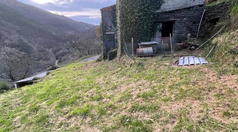 Asturias - Coaña - 48540m2