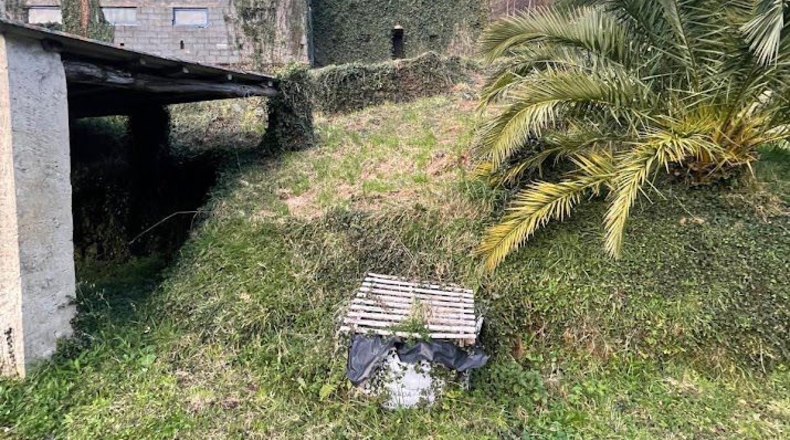 Asturias - Coaña - 48540m2