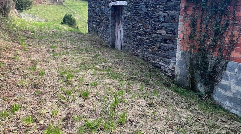 Asturias - Coaña - 48540m2