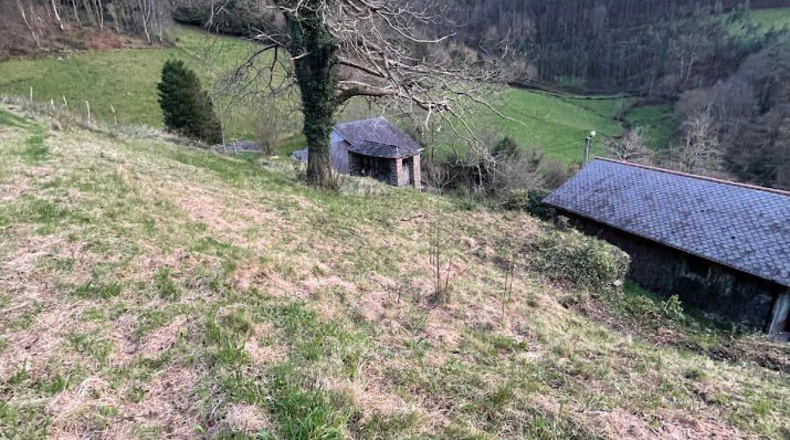 Asturias - Coaña - 48540m2