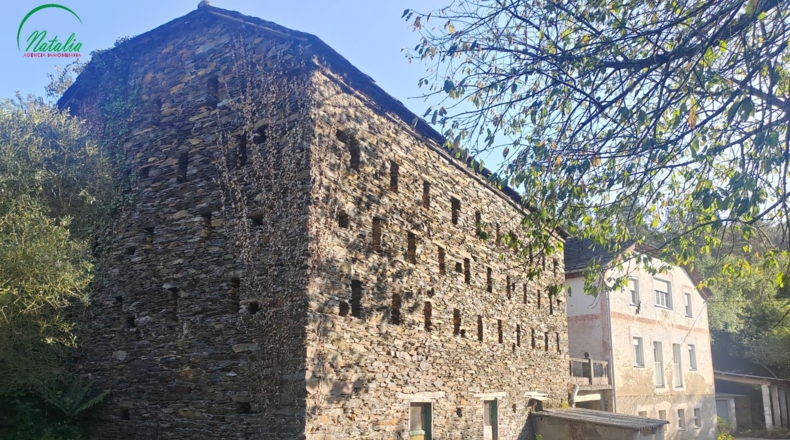 Asturias - Коанья - 10000m2