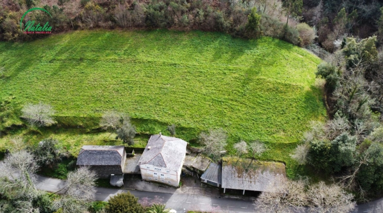 Asturias - Коанья - 10000m2