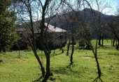 Xalet independent amb terreny en venda a Boal ref.: TR17699 foto