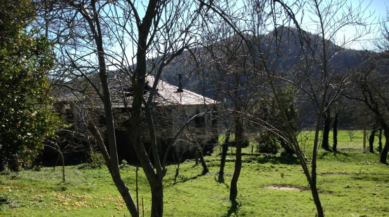 Asturias - A Barreira - 1227m2