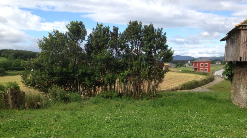 Asturias - Villapedre - 1300m2
