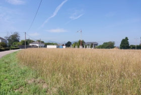 Navia 1336&nbsp;m² 