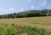 Parcel·la urbanitzable en venda a Coaña ref.: TR278040 foto