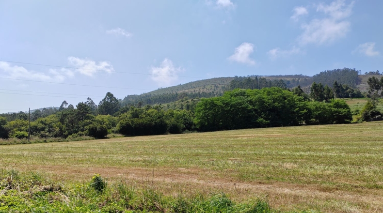Astúries - Coaña - 1477m2