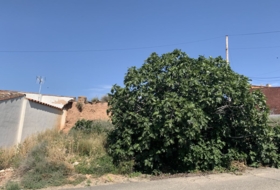 Alfaro 189&nbsp;m² 
