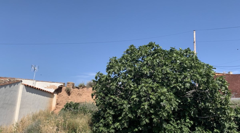 La Rioja - Alfaro - 189m2